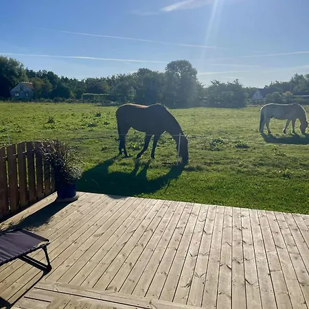 Chalet - Lille Knudsgaard Løkken